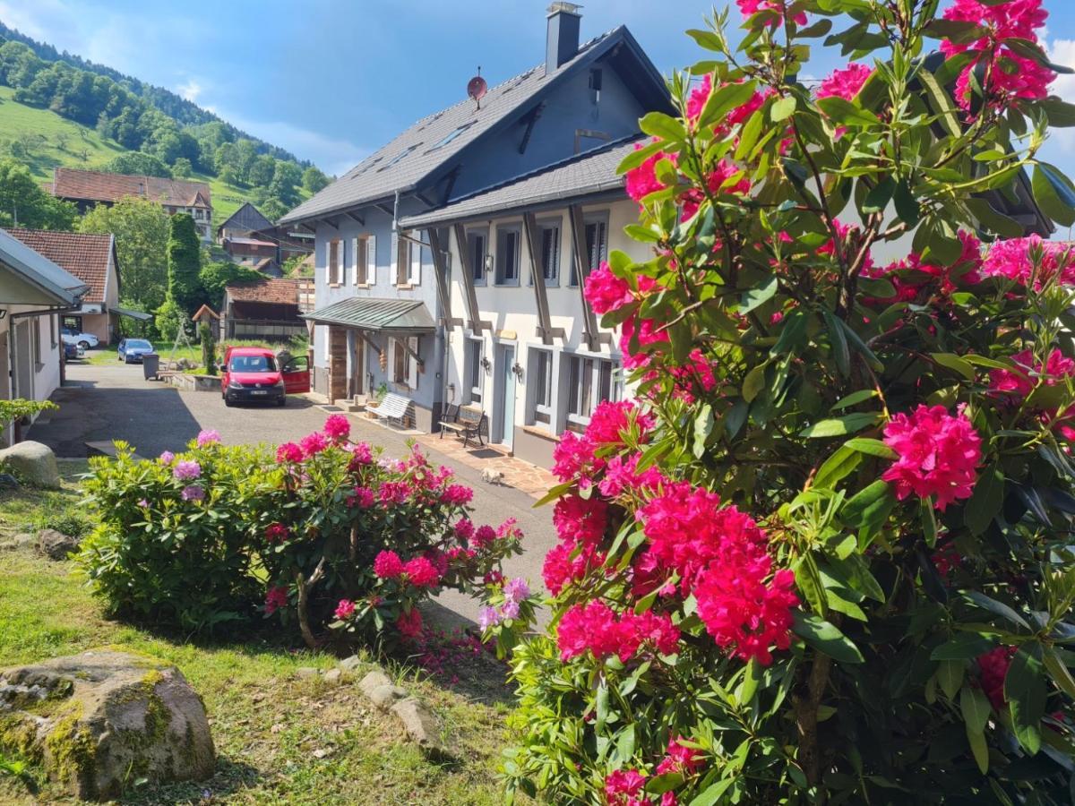 Locations Des 3 Sommets Avec Sauna Et Spa En Alsace Sondernach Luaran gambar