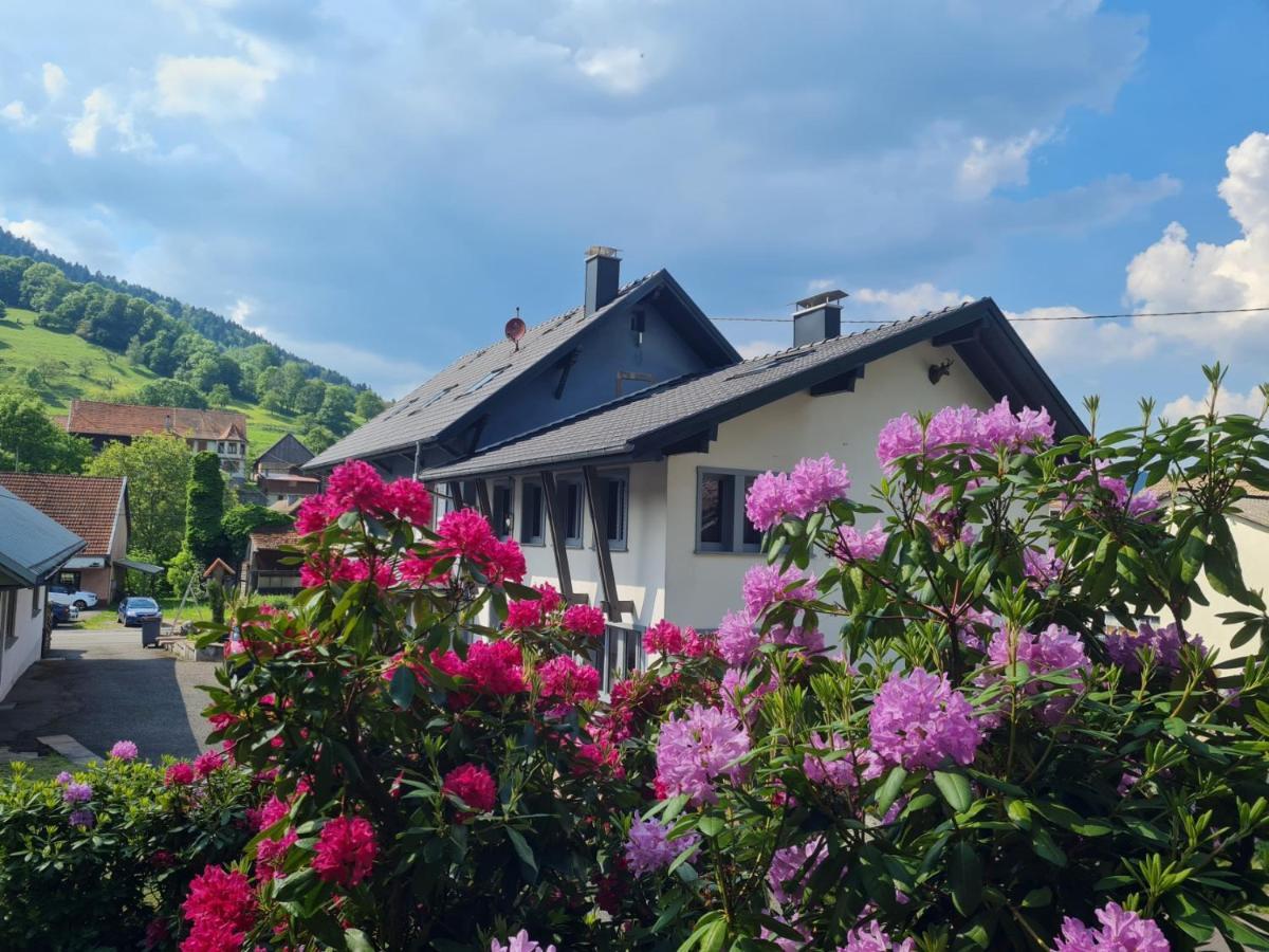 Locations Des 3 Sommets Avec Sauna Et Spa En Alsace Sondernach Luaran gambar