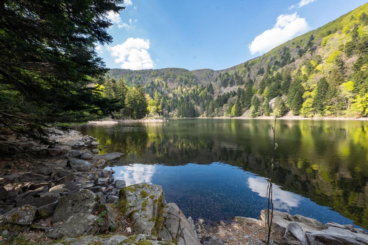 Locations Des 3 Sommets Avec Sauna Et Spa En Alsace Sondernach Luaran gambar
